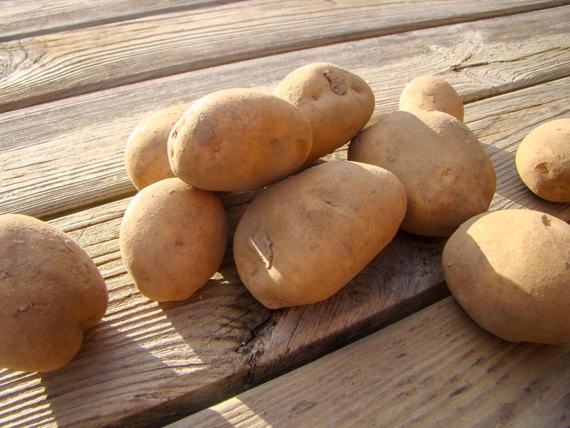  Aardappel Nicola 2,5 kilo