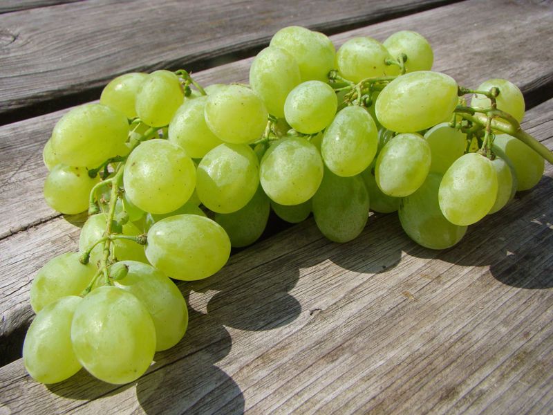  Druiven wit Victoria (500 gram)