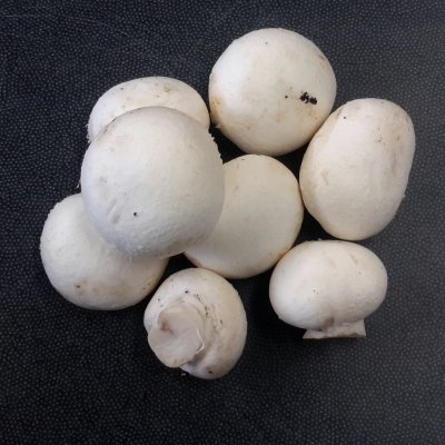  Witte champignons (250 gram)