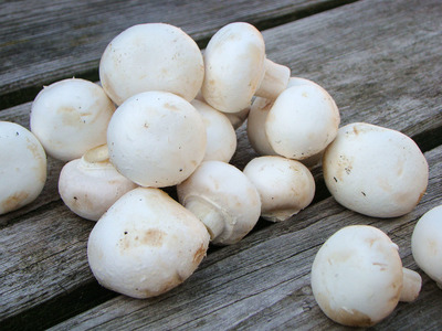 Witte champignons (250 gram)