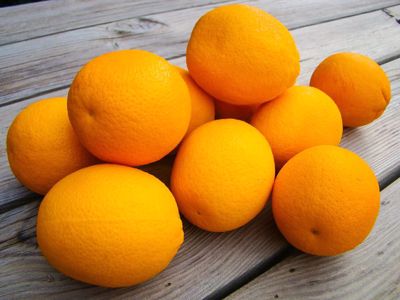 Perssinaasappels (per 10 stuks)
