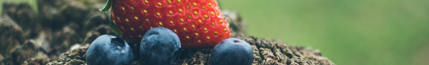 Biologisch fruit